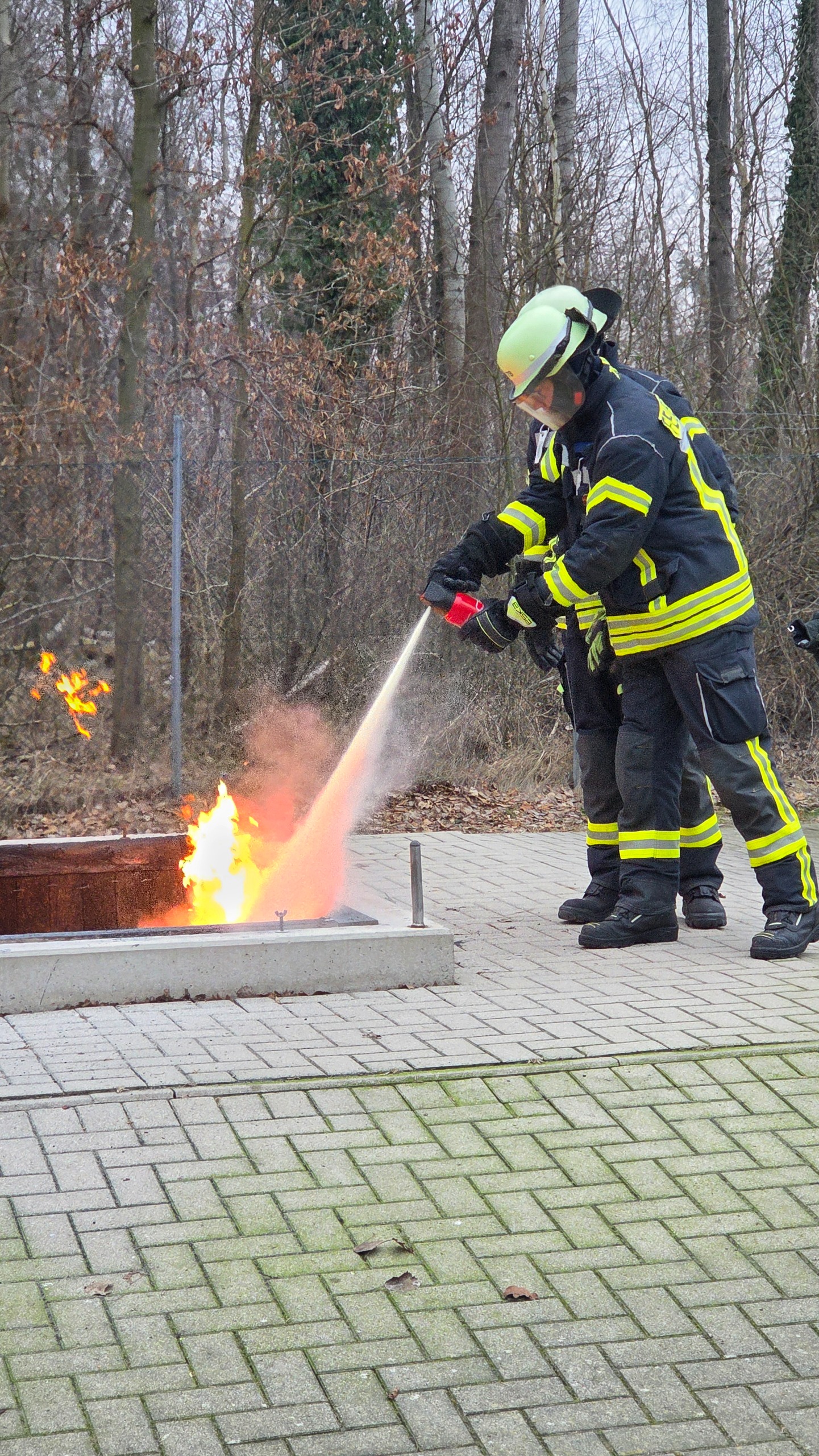 WhatsApp Image 2026 02 19 at 142551 1